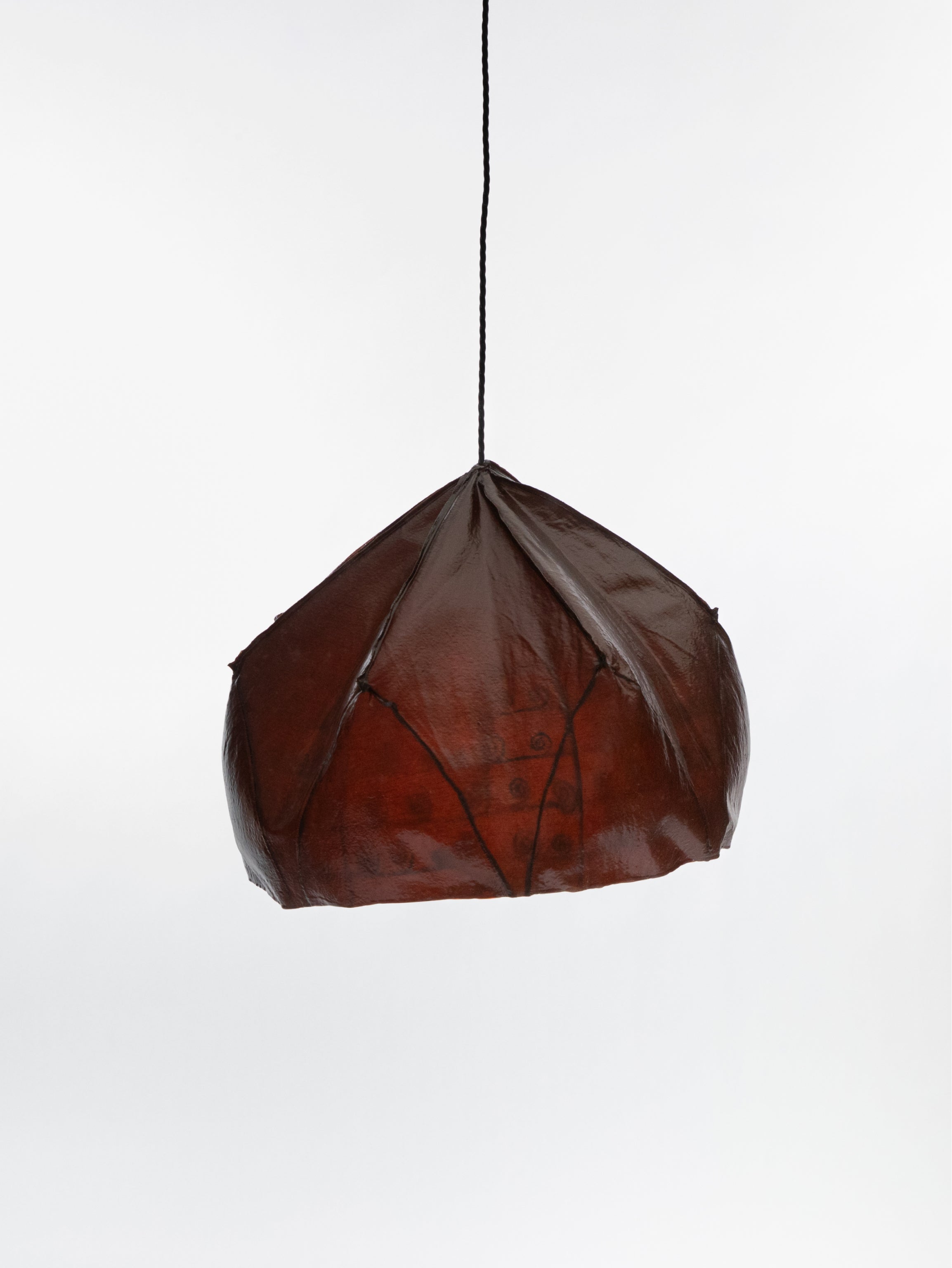 Pendant Light by Alexis Stiteler